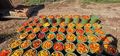 Assorted Hot Pepper Harvest 2022. Sold out.